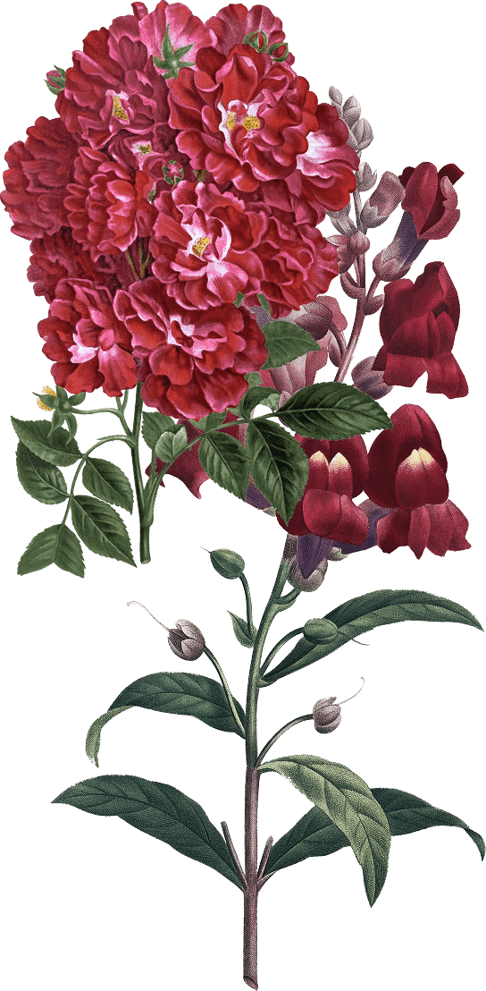 Ornaments